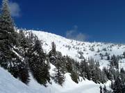 Uitzicht op de Falcon Glades