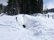 Solitude Magic Carpet - Transportband