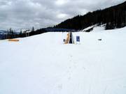 Little Bit - Transportband