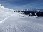 Afdaling Panorama Fiescheralp
