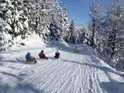 Tip voor de kleintjes  - Rodelbaan