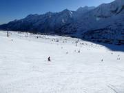 Pistes in Tonale