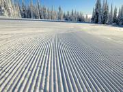 Vers geprepareerde piste in Sun Peaks