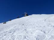 Uitgestrekt off-piste terrein bij de Hornbahn 2000