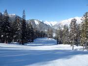 Afdaling Schober's Dream in de Sun Bowl
