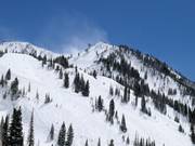 Pistes in de Peruvian Gulch