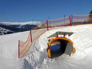 Tip voor de kleintjes 