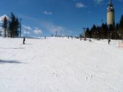 Beginnerspiste Nybegynnerbakken