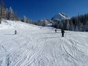 Afdaling nr. 11 Riedlkar