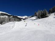 Dalafdaling naar Dorfgastein