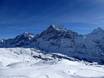Berner Alpen: beoordelingen van skigebieden – Beoordeling First – Grindelwald