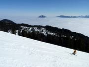 Uitzicht op de Grünten boven de zee van mist