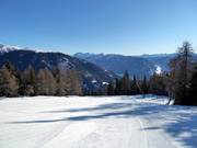 Dalafdaling nr. 1 vlak voor het middenstation