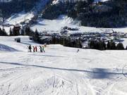 Dalafdaling Kleinarl