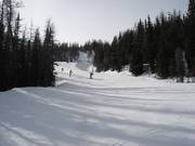 Piste nr. 150 Look Out