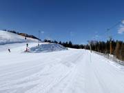 Beginnerspiste Bärenhang