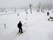 De sleepliften in het dal ontsluiten eenvoudige pistes.
