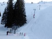 Javor - Sleeplift met T-beugel/Ankerlift