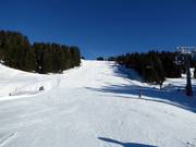 Jochafdaling in Brixen im Thale