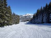 Scheiblberg-afdaling