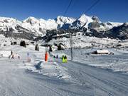 Iltios - Sleeplift met T-beugel/Ankerlift