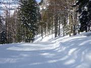 Makkelijk skipad Salzberg