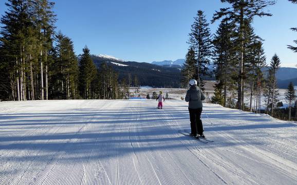 Skigebieden voor beginners in het Valsugana – Beginners Lavarone