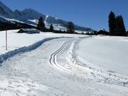 Hoogteloipe Sellamatt/Sagenweg (Middenstation Alt St. Johann)