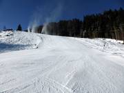 Moeilijke piste Heimalm-Rauris