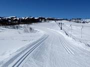 Langlaufloipes in Geilo