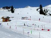 Tip voor de kleintjes  - Kinderoefenterrein van de Skischule Krallinger