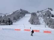 Piste bij de Needles Gondola