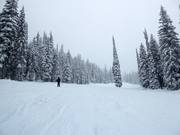 Zeer eenvoudige piste in het Red Mountain Resort