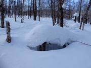 Er is altijd genoeg sneeuw in het skigebied Rusutsu.