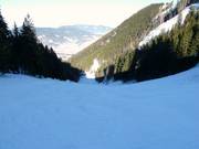 Afdaling vanaf de Unternbergalm