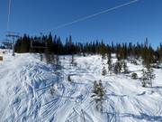 Freeridegebieden naast de pistes