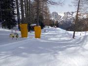 Tip voor de kleintjes 