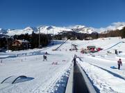 Tip voor de kleintjes 