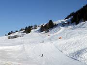 Dalafdaling nr. 1c Meierhof