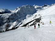 Alblitt Diasafdaling