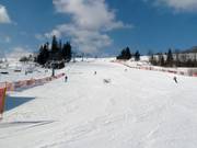 De gemakkelijke piste van Witów