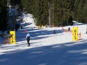 Slalom-piste