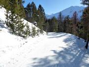 Dalafdaling naar Tschierv