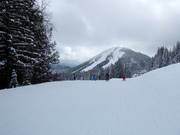 Zeer eenvoudige piste bij Red Mountain Village