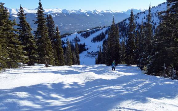 Skigebieden voor gevorderden en off-piste skiërs Nationaal Park Jasper – Gevorderden, off-piste skiërs Marmot Basin – Jasper