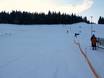 Skigebieden voor beginners in het westelijke Ertsgebergte – Beginners Rölzhang – Wildenthal