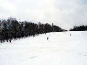 Breed en gemakkelijk