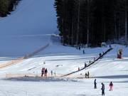 Oefenweide met transportband Dosson