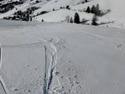 Diep sneeuwgebied bij de hoofdafdaling aan de Stübenwasenlift