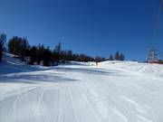 Piste nr. 21 Olympia Pocol